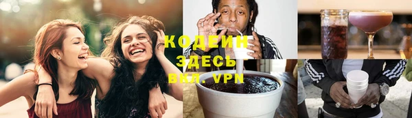 трава Няндома