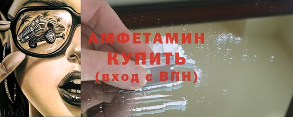 трава Няндома