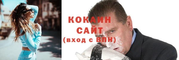 трава Няндома