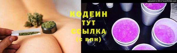 трава Няндома