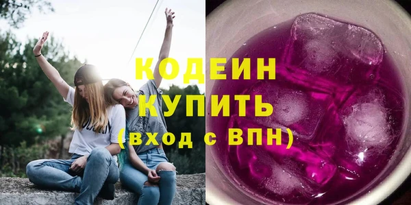 трава Няндома