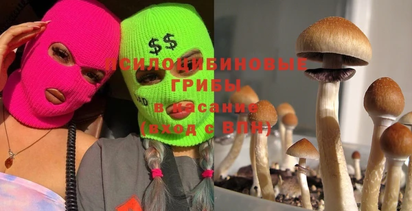 шишки Усолье-Сибирское