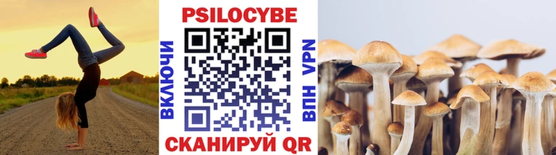 Псилоцибиновые грибы GOLDEN TEACHER  Суоярви 